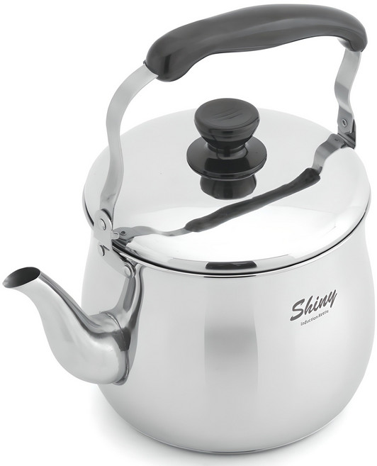 퀸센스 샤이니 인덕션 스텐 주전자, 5L, 혼합색상, 1개