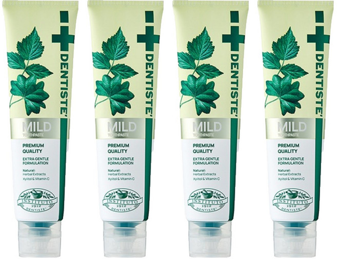 덴티스테 마일드 나이트타임 튜브형 치약, 160g, 4개