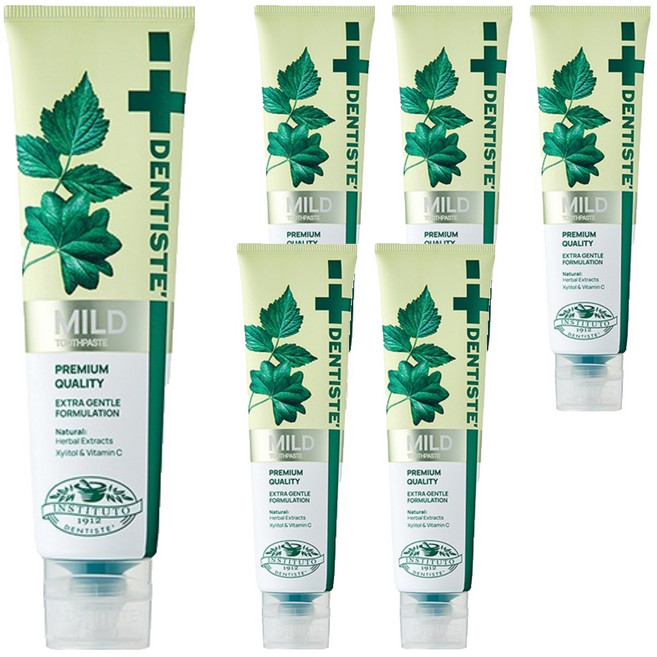 덴티스테 마일드 나이트타임 튜브형 치약, 160g, 6개