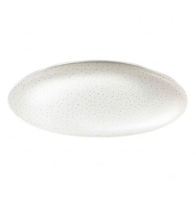 台灣 FUJI 45W LED智能聲控快拆吸頂燈 適用4-5坪, 白色