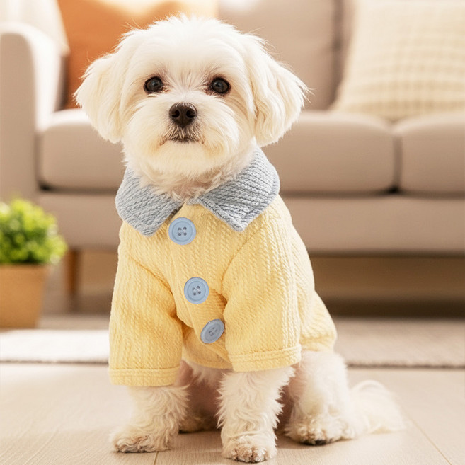 쁘띠도그 강아지 몽글 왕 단추 티, 1개, 옐로우