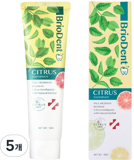 폴메디슨 브리오덴트 시트러스 민트 치약, 150g, 5개