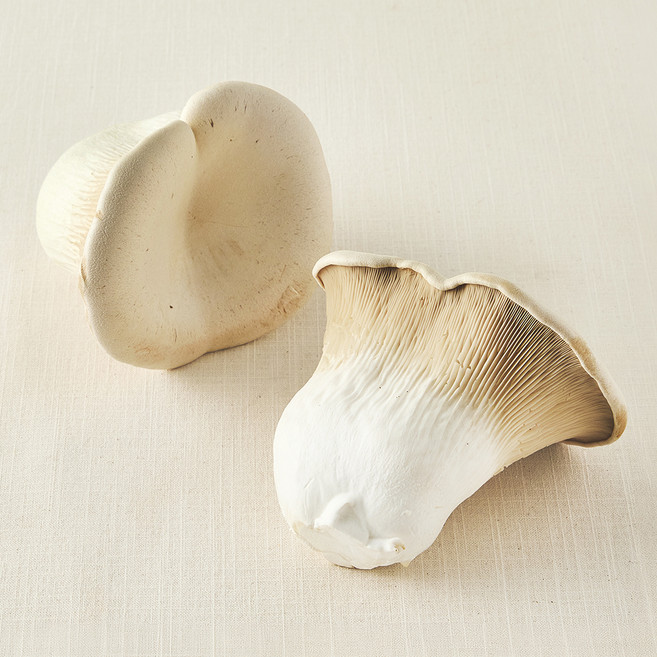 친환경 설원버섯, 1개, 400g