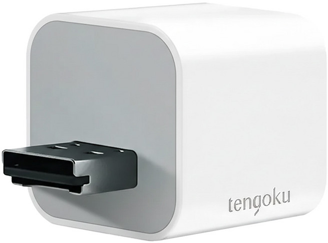 tengoku 天閤堀 BP1 USB-A手機高速備份豆腐頭 原廠保固, 白色, 1個