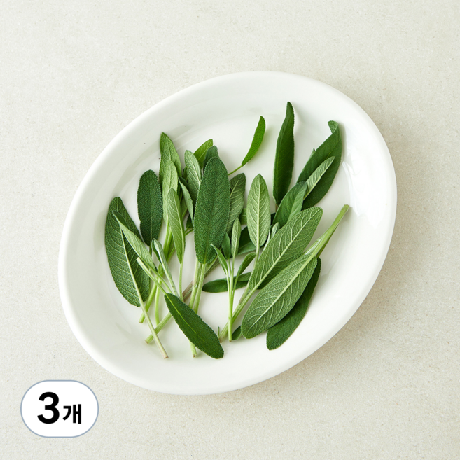 국내산 세이지, 3개, 10g
