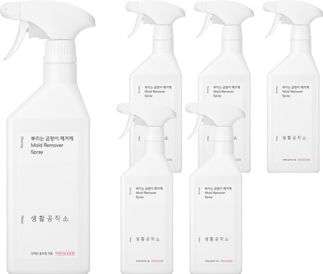 생활공작소 뿌리는 곰팡이 제거제, 750ml, 6개