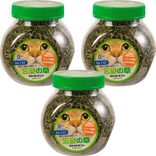 Canary 正午嫩採 貓的薄荷草 C-S420, 貓薄荷, 220ml, 3罐