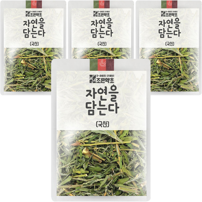 조은약초 자연을 담는다 프리미엄 야관문, 200g, 4개