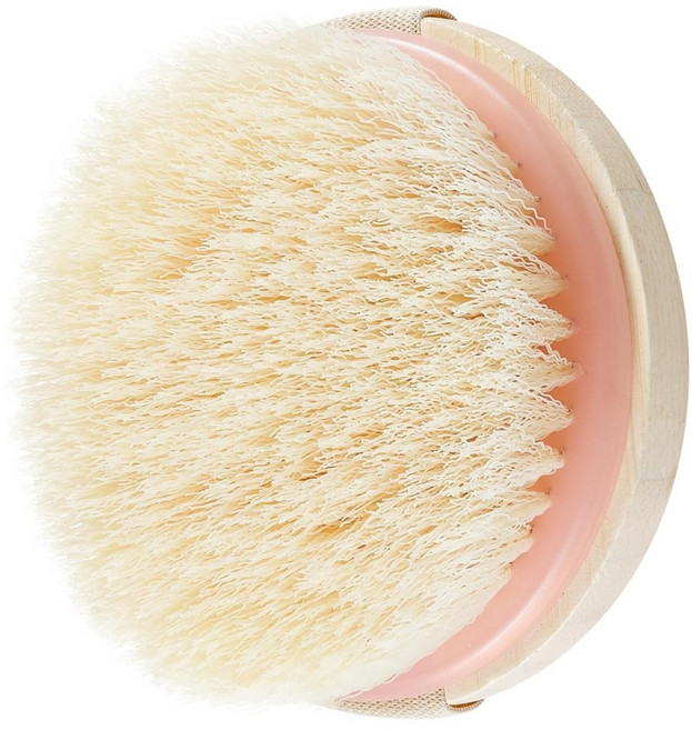 ecoTOOLS 美體乾刷 單色, 1個, 無味