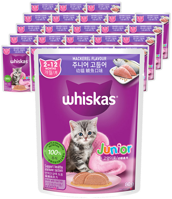 위스카스 주니어 고양이 주식파우치, 고등어, 80g, 24개