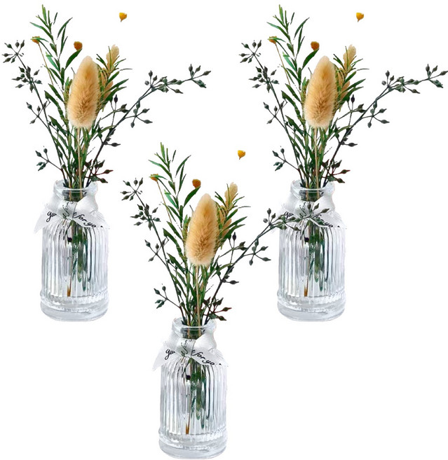 SC優選 植物精油 ins北歐乾燥花無火香薰擺飾 純真芷子花 50ml, 3瓶