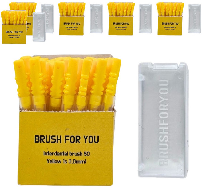 브러쉬포유 I형 치간칫솔 1s 1.0 50P+케이스, 6세트