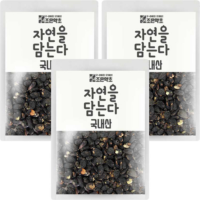 조은약초 오가피 열매, 300g, 3개