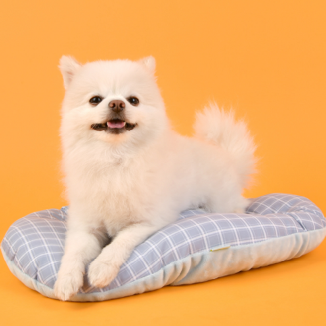 올치 퍼피아 반려동물 구름 도무스 방석, 스카이블루, 1개