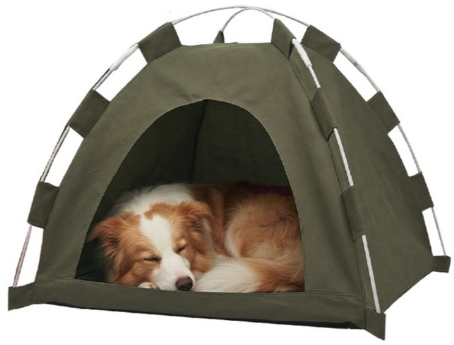 아메리칸베커 반려동물 하우스 강아지 텐트, 그린, 1개