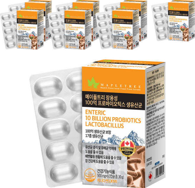 메이플트리 장용성 100억 프로바이오틱스 생유산균, 8개, 60정