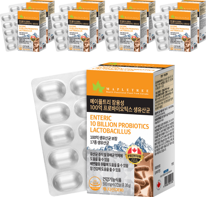 메이플트리 장용성 100억 프로바이오틱스 생유산균, 9개, 60정