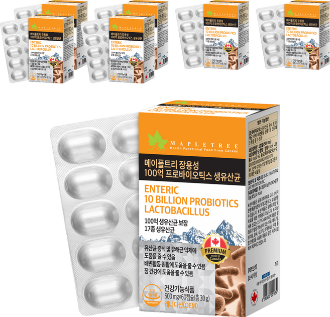 메이플트리 장용성 100억 프로바이오틱스 생유산균, 7개, 60정