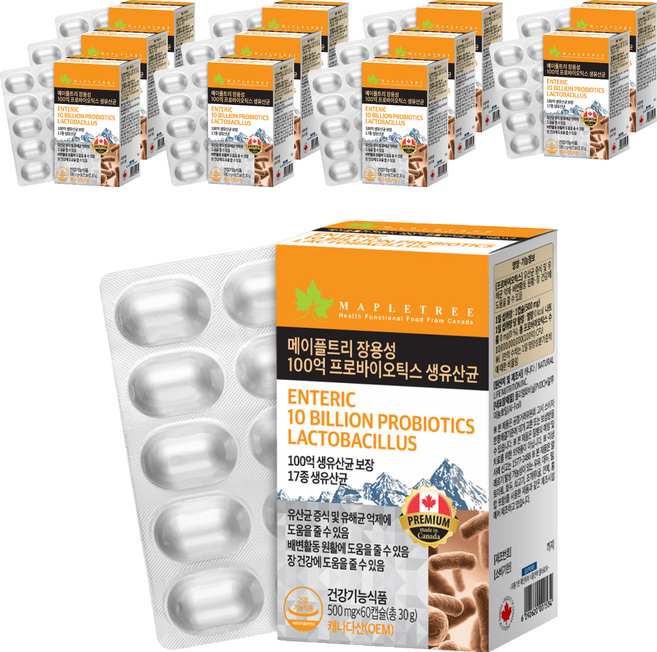 메이플트리 장용성 100억 프로바이오틱스 생유산균, 12개, 60정
