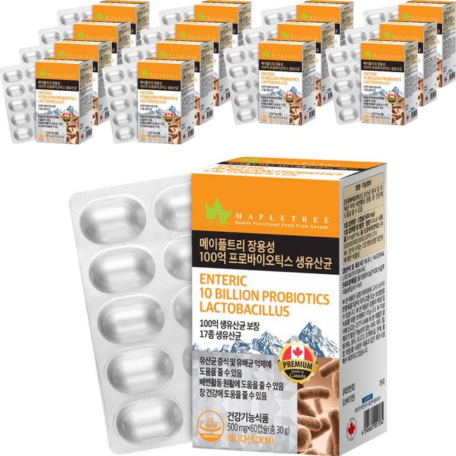 메이플트리 장용성 100억 프로바이오틱스 생유산균, 15개, 60정