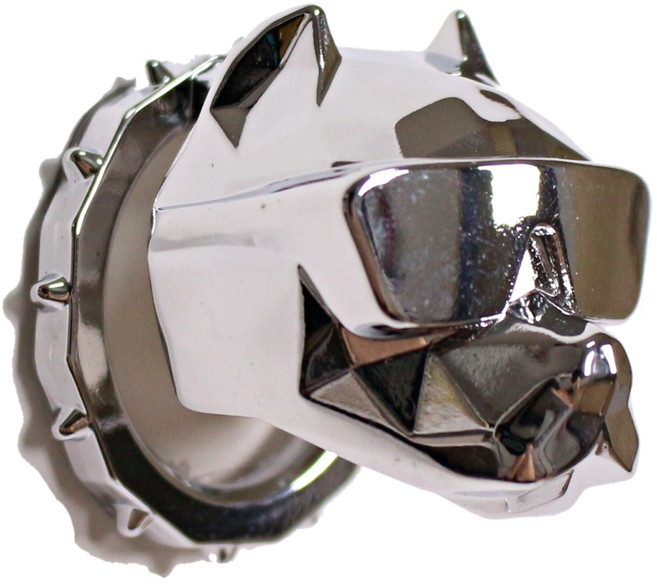 마이코지카 자동차 불독 스타트 버튼 커버, 메탈실버, 1개