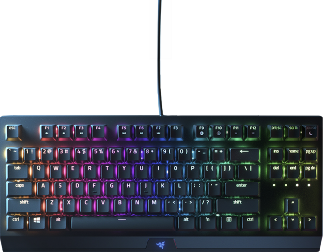 RAZER 雷蛇 BlackWidow 黑寡婦 V3 TKL 機械式電競鍵盤 (英文), 黑色, RZ03-03490100-R3M1, 短軸