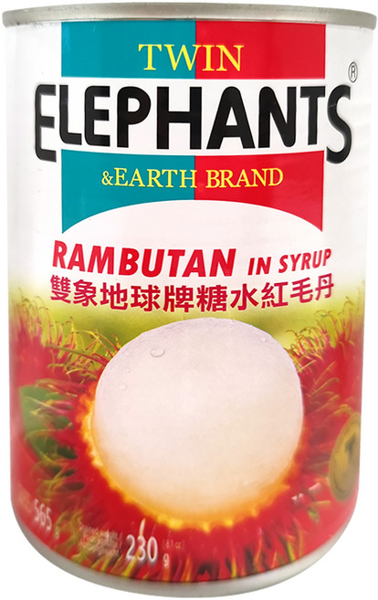 TWIN ELEPHANTS 雙象地球牌 糖水紅毛丹, 565g, 1罐