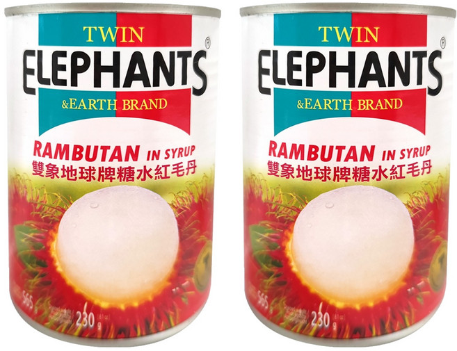 TWIN ELEPHANTS 雙象地球牌 糖水紅毛丹, 565g, 2罐