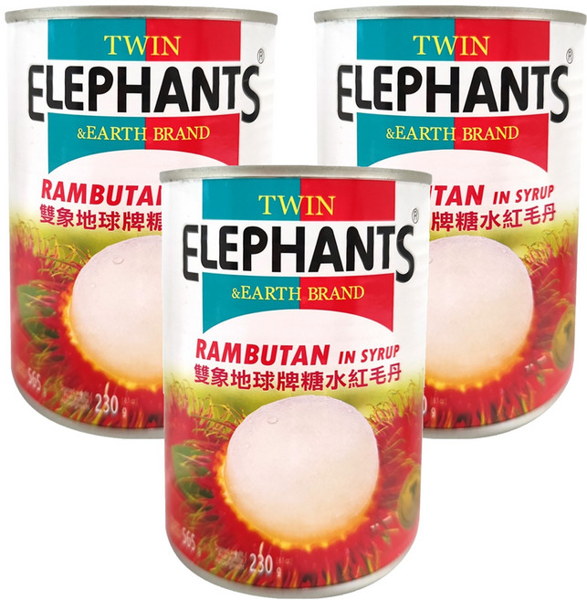 TWIN ELEPHANTS 雙象地球牌 糖水紅毛丹, 565g, 3罐