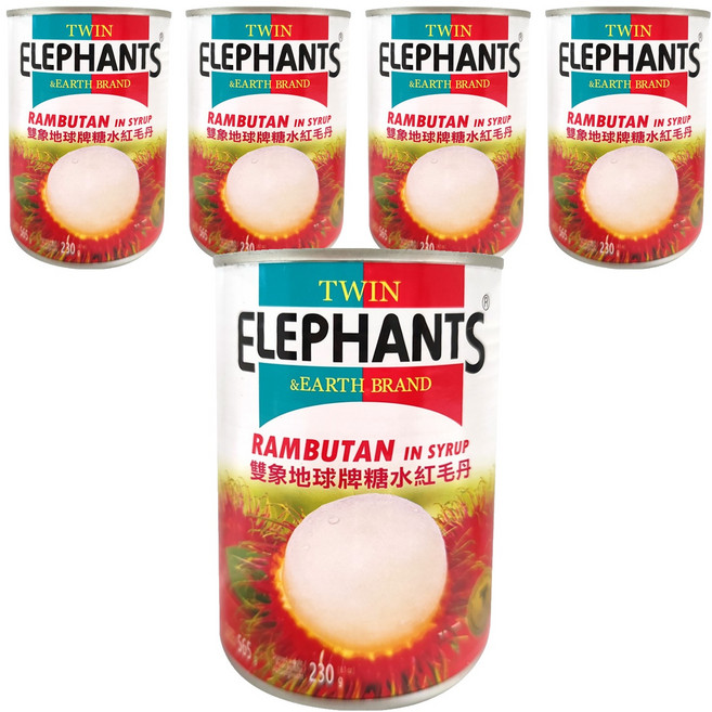 TWIN ELEPHANTS 雙象地球牌 糖水紅毛丹, 565g, 5罐