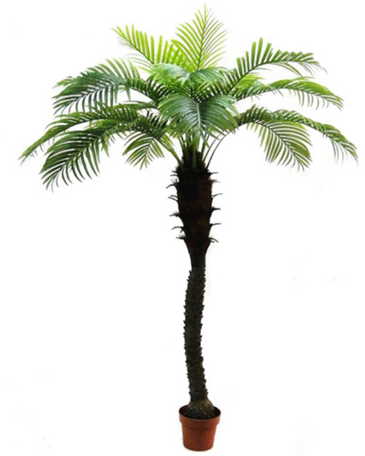 도시정원 아레카팜트리 200cm, 혼합 색상, 1개