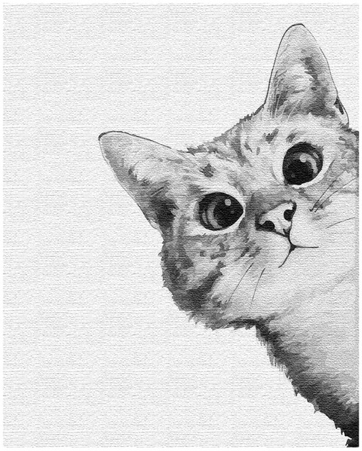 플레이어바웃 DIY 명화 그리기 세트 40 x 50 cm, 궁금한고양이화이트, 1개