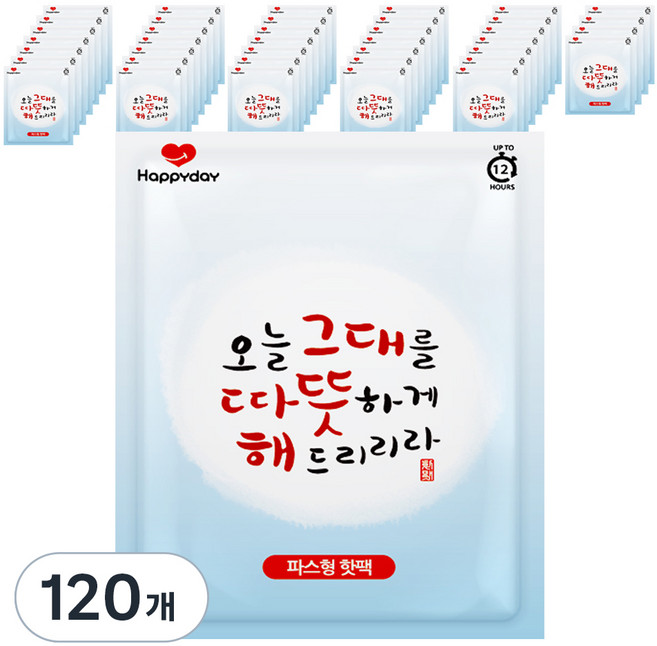 해피데이 파스형 오늘 그대를 따뜻하게 해드리리라 핫팩 50g, 120개
