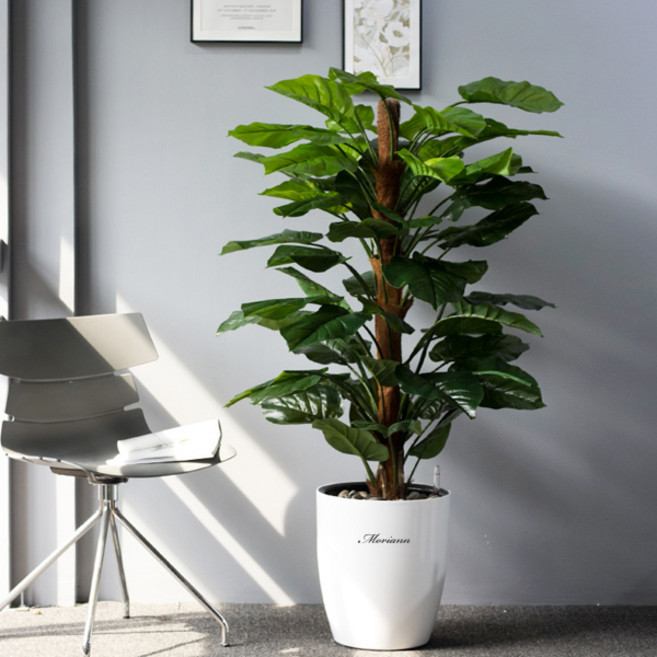 모리앤 원형 저면 관수화분 대형 3438, 화이트, 1개