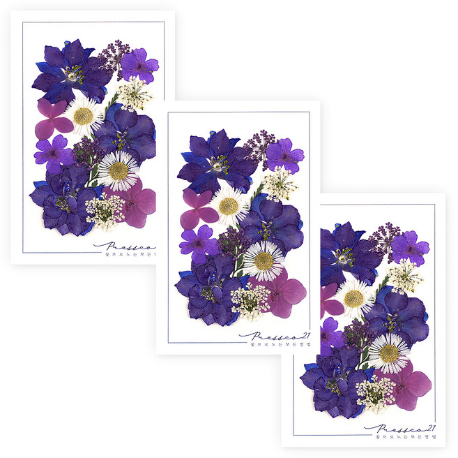 프레스코21 압화 종합팩, K121, 3개