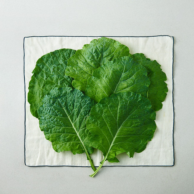 유기농 녹즙용 케일, 300g, 1개