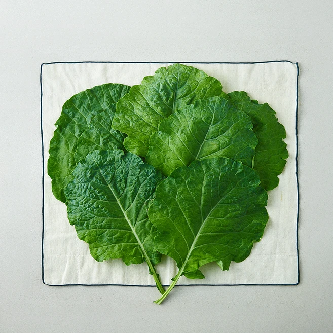 유기농 녹즙용 케일, 300g, 1개 - 쿠팡