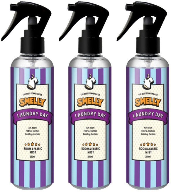 스멜리 룸앤패브릭, 250ml, 3개, 런드리데이