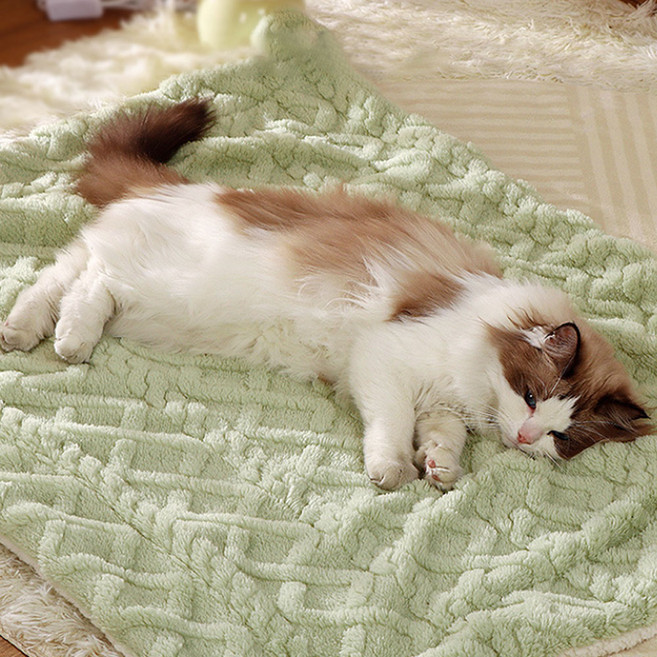 딩동펫 반려동물 방울방울 극세사 포근 이불 담요, 그린, 1개