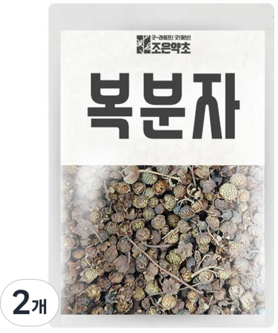 조은약초 건조 복분자, 600g, 2개