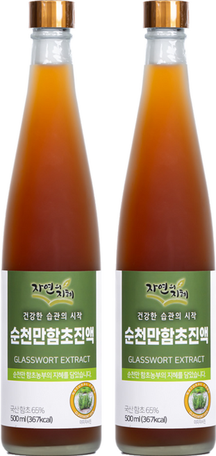 자연의지혜 순천만함초진액, 500ml, 2개