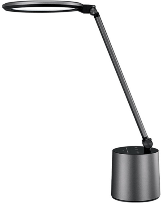 필립스 LED 다윈 스탠드 S012CTM1200100, 딥 그레이