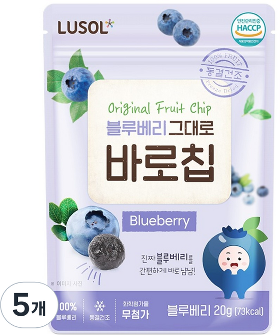 루솔 과일칩 블루베리 그대로 바로칩, 20g, 5개