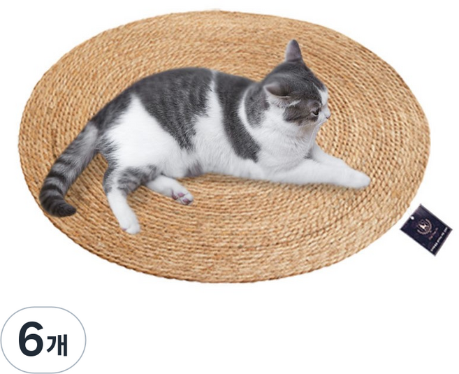 딩동펫 부들 라운드 스크래쳐 매트, 6개