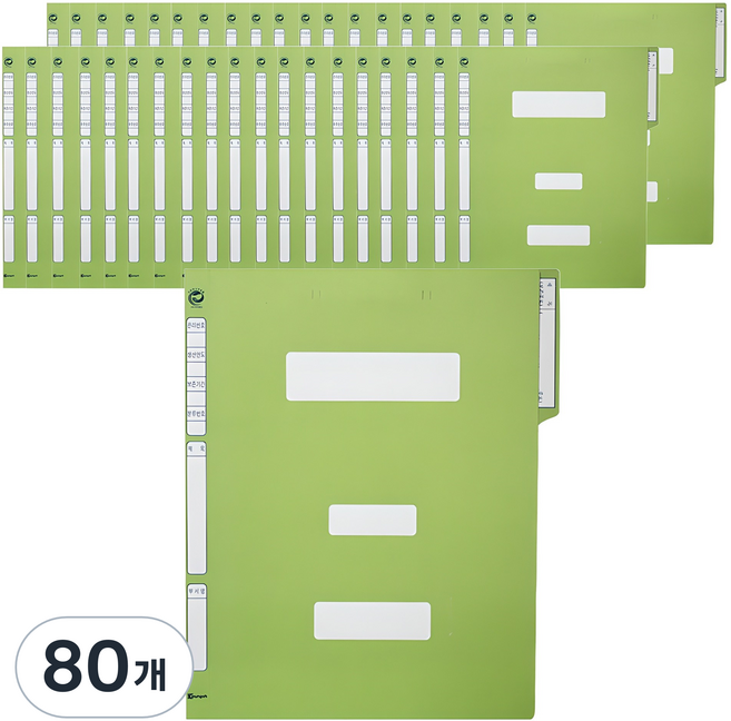 빅드림 정부화일 A4, 연두, 80개