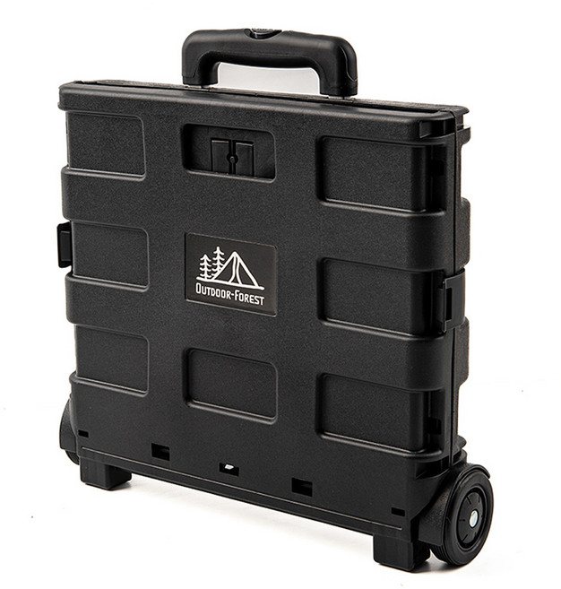 아웃도어포레스트 다용도 폴딩카트 중형, 블랙, 1개
