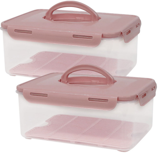 제오닉 깍둑 수박 채반보관용기, 4.1L, 2개