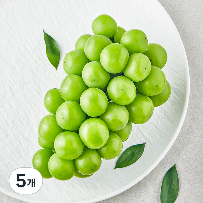 영길팜 당도선별 샤인머스캣, 500g, 5개