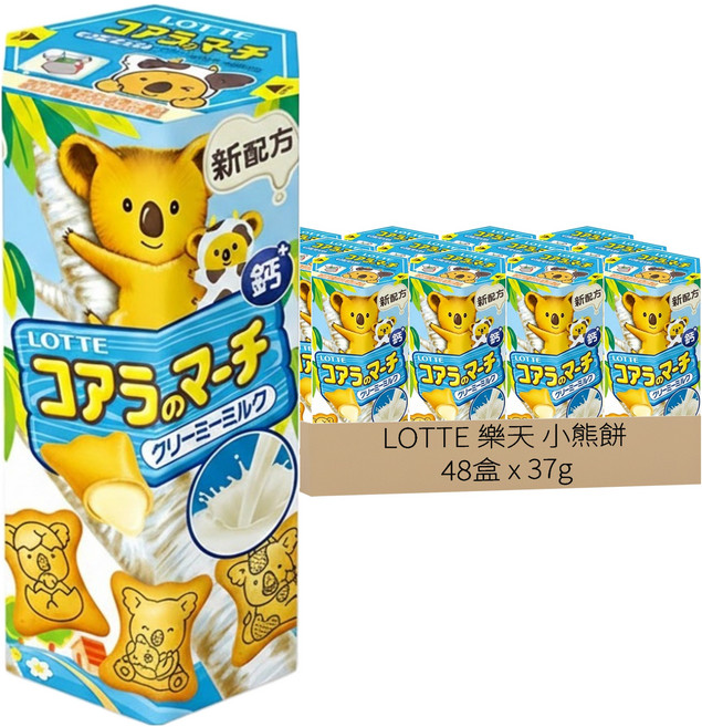 LOTTE 樂天 小熊餅 牛奶風味, 37g, 48盒