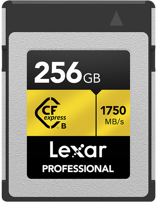 렉사 Professional CFexpress Type B, 256GB, 1개